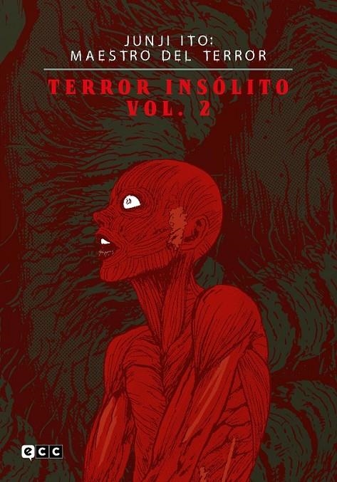 JUNJI ITO MAESTRO DEL TERROR, TERROR INSÓLITO # 02 | 9788419678416 | JUNJI ITO | Tienda de Cómics, Manga, Magic y Pokémon en Torrejón de Ardoz