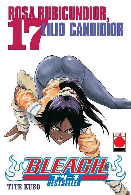 BLEACH BESTSELLER 17 | 9788410510067 | TITE KUBO | Tienda de Cómics, Manga, Magic y Pokémon en Torrejón de Ardoz