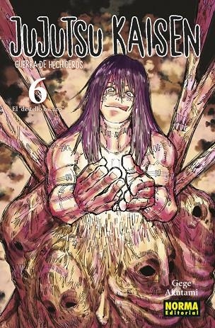 JUJUTSU KAISEN 06 (NUEVO PVP) | 9788467961164 | Gege Akutami | Tienda de Cómics, Manga, Magic y Pokémon en Torrejón de Ardoz