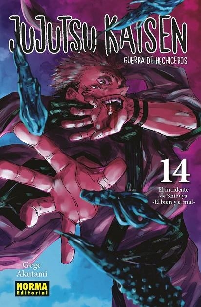 JUJUTSU KAISEN 14 (NUEVO PVP) | 9788467966909 | GEGE AKUTAMI | Tienda de Cómics, Manga, Magic y Pokémon en Torrejón de Ardoz