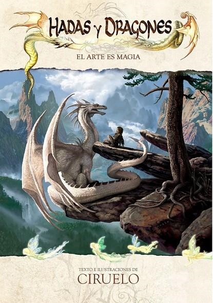 HADAS Y DRAGONES | 9788419903204 | Tienda de Cómics, Manga, Magic y Pokémon en Torrejón de Ardoz