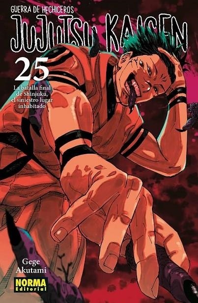 JUJUTSU KAISEN 25 | 9788467971743 | GEGE AKUTAMI | Tienda de Cómics, Manga, Magic y Pokémon en Torrejón de Ardoz