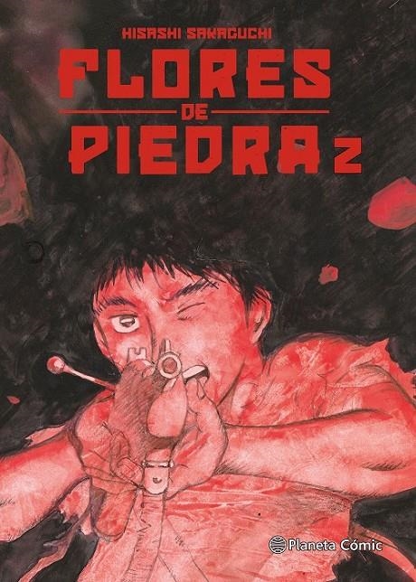 FLORES DE PIEDRA Nº 02/05 | 9788411612777 | HISASHI SAKAGUCHI | Tienda de Cómics, Manga, Magic y Pokémon en Torrejón de Ardoz